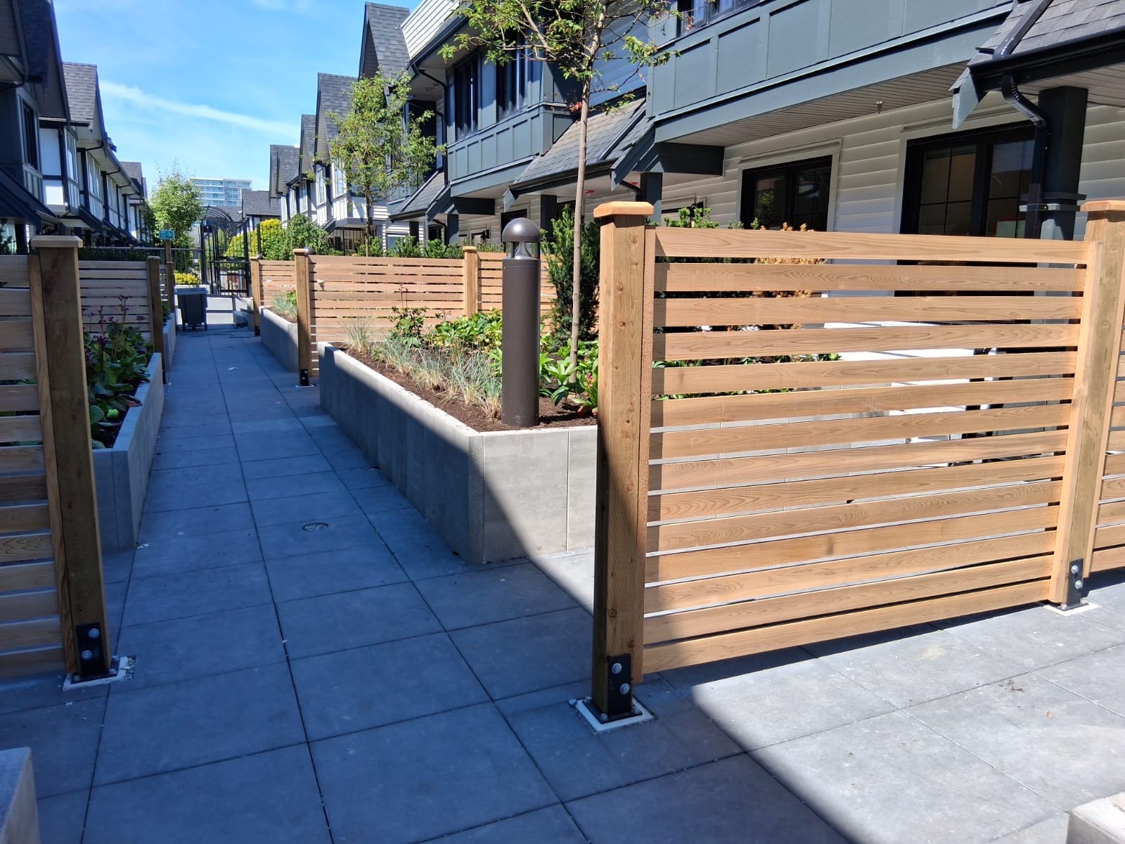 Townhouse courtyard with cedar fencing, concrete planters and paver walkway